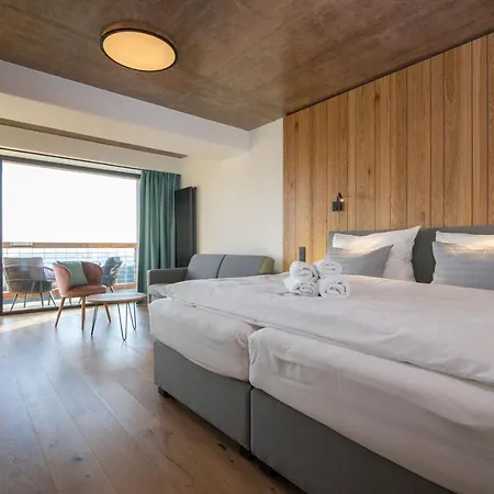 Erlebachova Bouda, - Svaty Frantisek Hotel