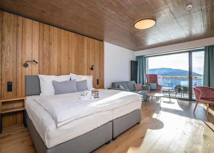 Erlebachova Bouda, - Svaty Frantisek 2* Шпіндлерув-Млин