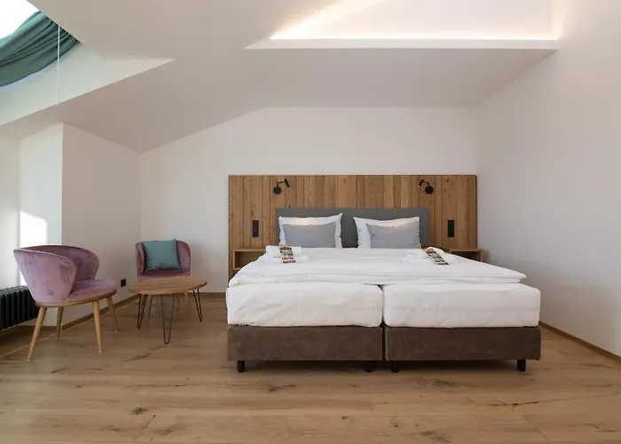 Erlebachova Bouda, - Svaty Frantisek Готель Шпіндлерув-Млин