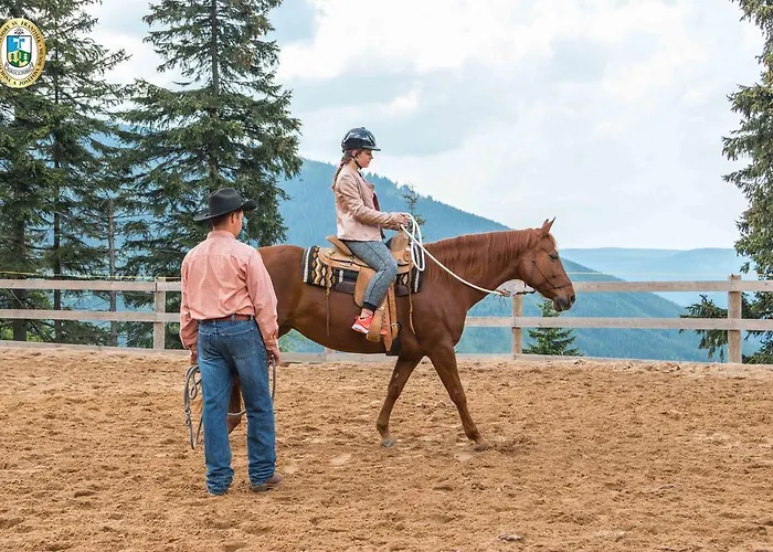 Готель Erlebachova Bouda, - Svaty Frantisek
