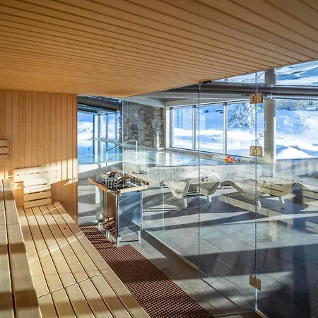 Erlebachova Bouda, - Svaty Frantisek Hotel