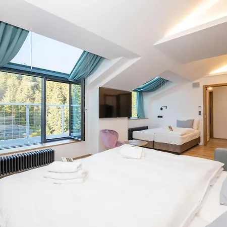 Erlebachova Bouda, - Svaty Frantisek Otel 2*