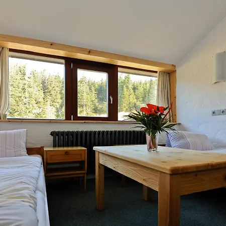 Erlebachova Bouda, - Svaty Frantisek