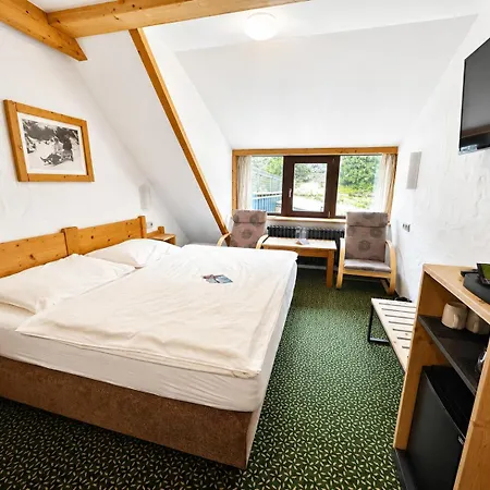 Erlebachova Bouda, - Svaty Frantisek Hotel