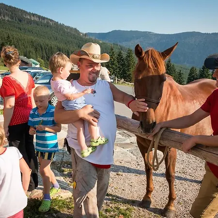 Hotel Erlebachova Bouda, - Svaty Frantisek