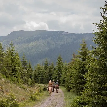 Otel Erlebachova Bouda, - Svaty Frantisek
