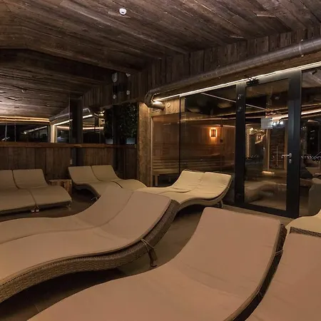 Hotel Erlebachova Bouda, - Svaty Frantisek Spindleruv Mlyn