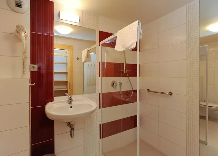 Erlebachova Bouda, - Svaty Frantisek 2*