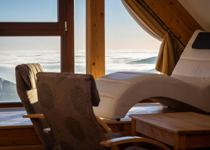 Erlebachova Bouda, - Svaty Frantisek Hotel