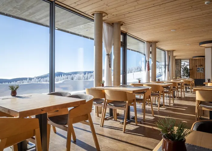 Erlebachova Bouda, - Svaty Frantisek 2*