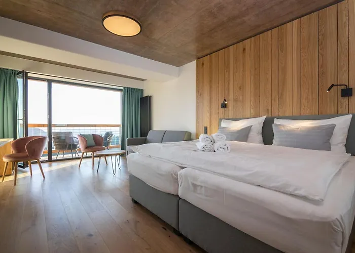 Erlebachova Bouda, - Svaty Frantisek Hotel