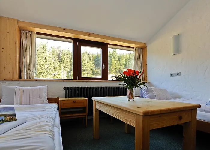 Erlebachova Bouda, - Svaty Frantisek