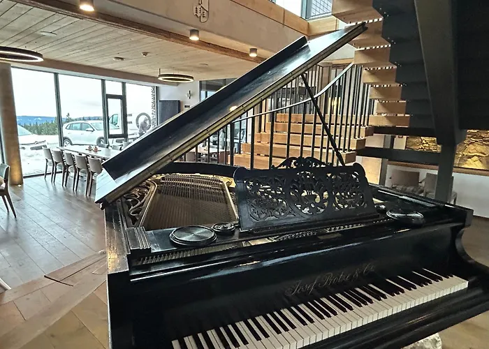 Erlebachova Bouda, - Svaty Frantisek 2*