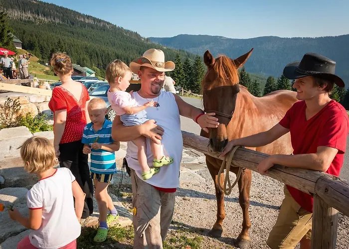 Hotel Erlebachova Bouda, - Svaty Frantisek