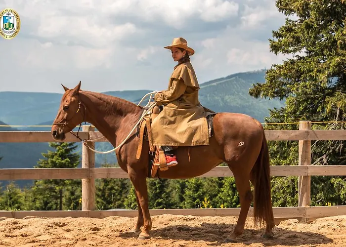 Erlebachova Bouda, - Svaty Frantisek